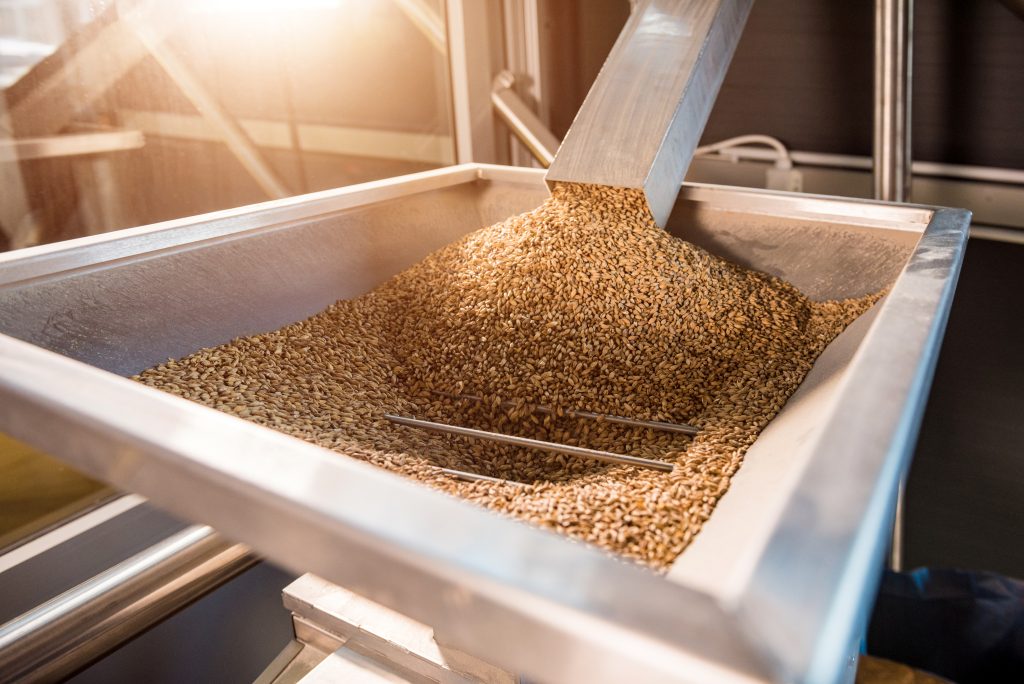 Malt production